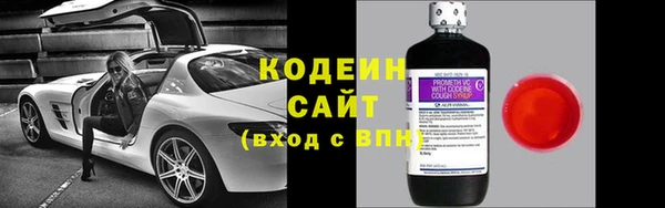 хмурый Карпинск