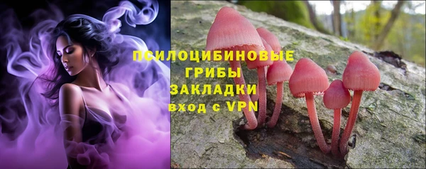 ALPHA PVP Касимов