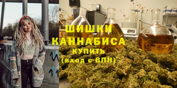 хмурый Карпинск