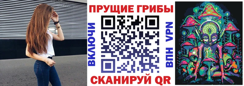 Псилоцибиновые грибы GOLDEN TEACHER  Касли 